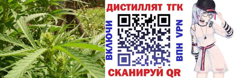 Дистиллят ТГК жижа  Нижний Ломов 