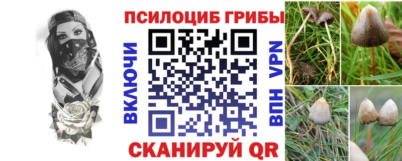 Галлюциногенные грибы Magic Shrooms  hydra сайт  Нижний Ломов  хочу наркоту 